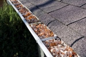 gutter with leaves