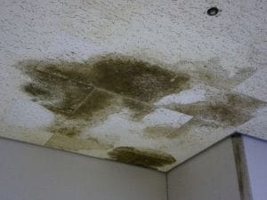 roof leaks