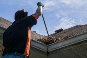 gutter cleaning professional